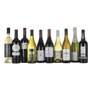 The best wines of 2008