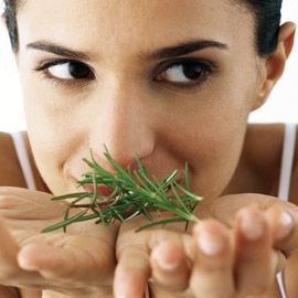 Spa weight loss diet Spa weight loss diet