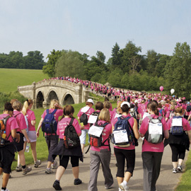 Breast Cancer Care Ribbon Walk-BCC-breast cancer-online lives-woman and home