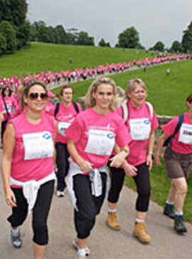 Pink Ribbonwalk plan