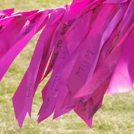 Petworth Ribbon Walk - Finish