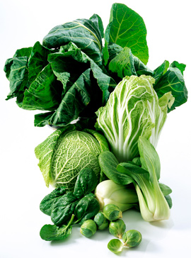 24 hour diet recipes 24 hour diet recipes