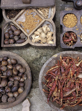 Ayurvedic herbs-Health-Diet-Weight Loss-Woman and Home