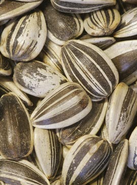 10 Natural Ways To Beat Stress