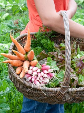 Foods To Aid Weight Loss Foods To Aid Weight Loss