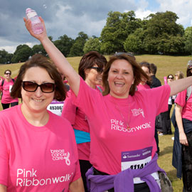 Petworth House & South Downs Pink Ribbonwalk 2011