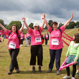 Petworth House & South Downs Pink Ribbonwalk 2011