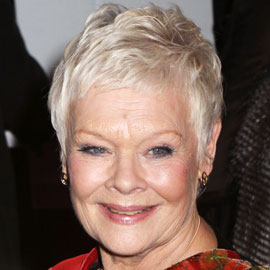 Judi Dench Hairstyle Judi Dench Hairstyle