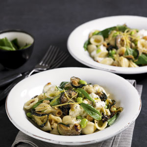 Courgette and Hazelnut Orechiette Courgette and Hazelnut Orechiette-Vegetarian meals-Woman and Home