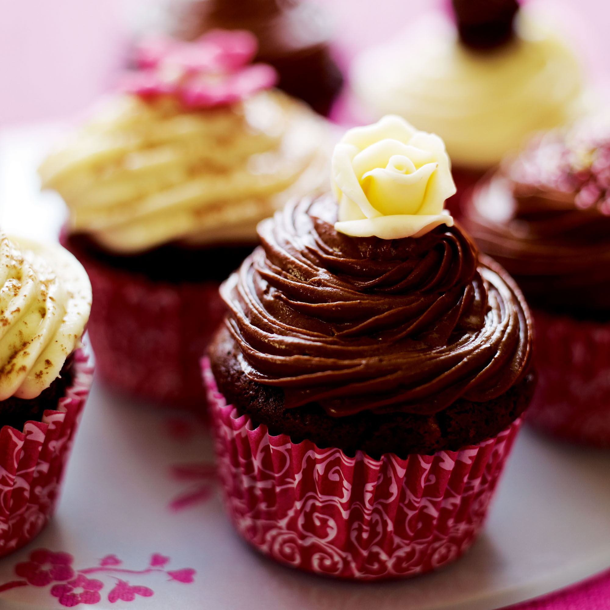 Chocolate swirl cupcake recipe