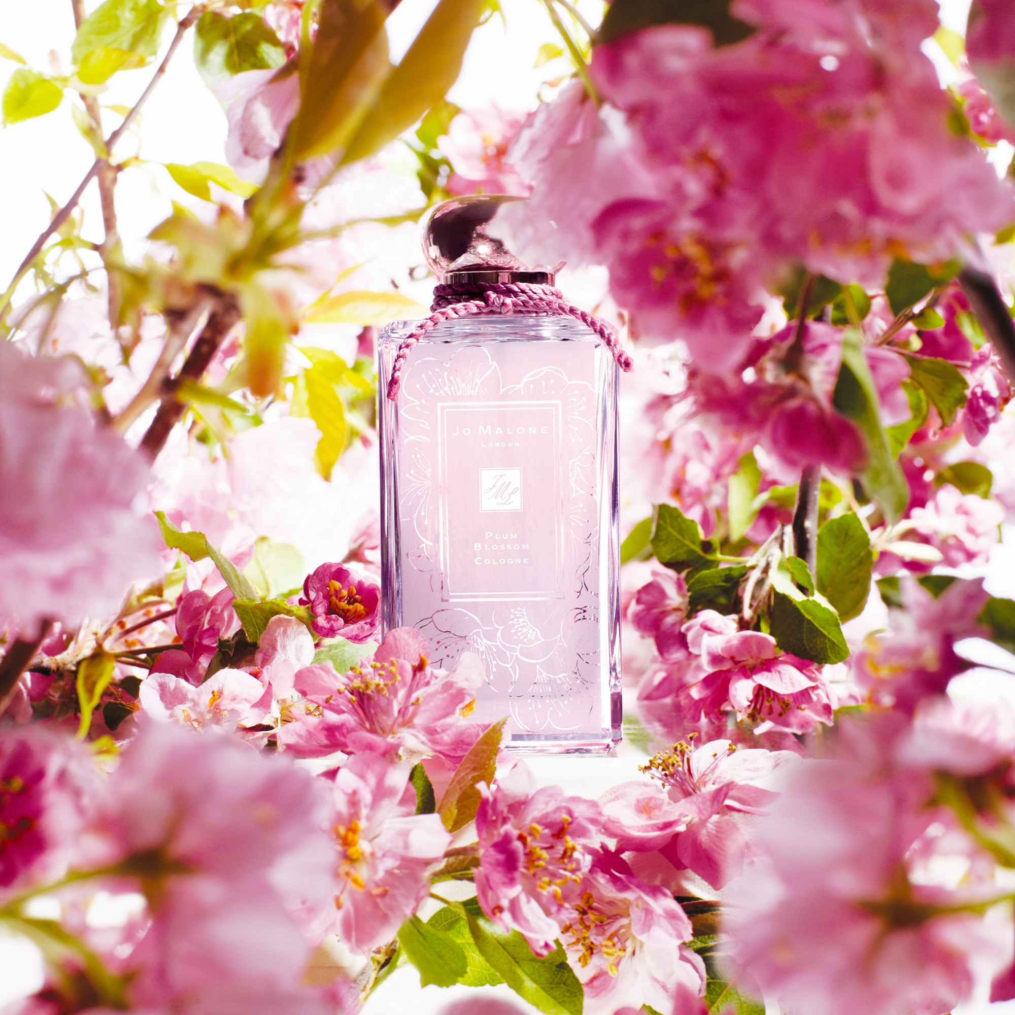 Jo Malone Limited Edition Plum Blossom Cologne