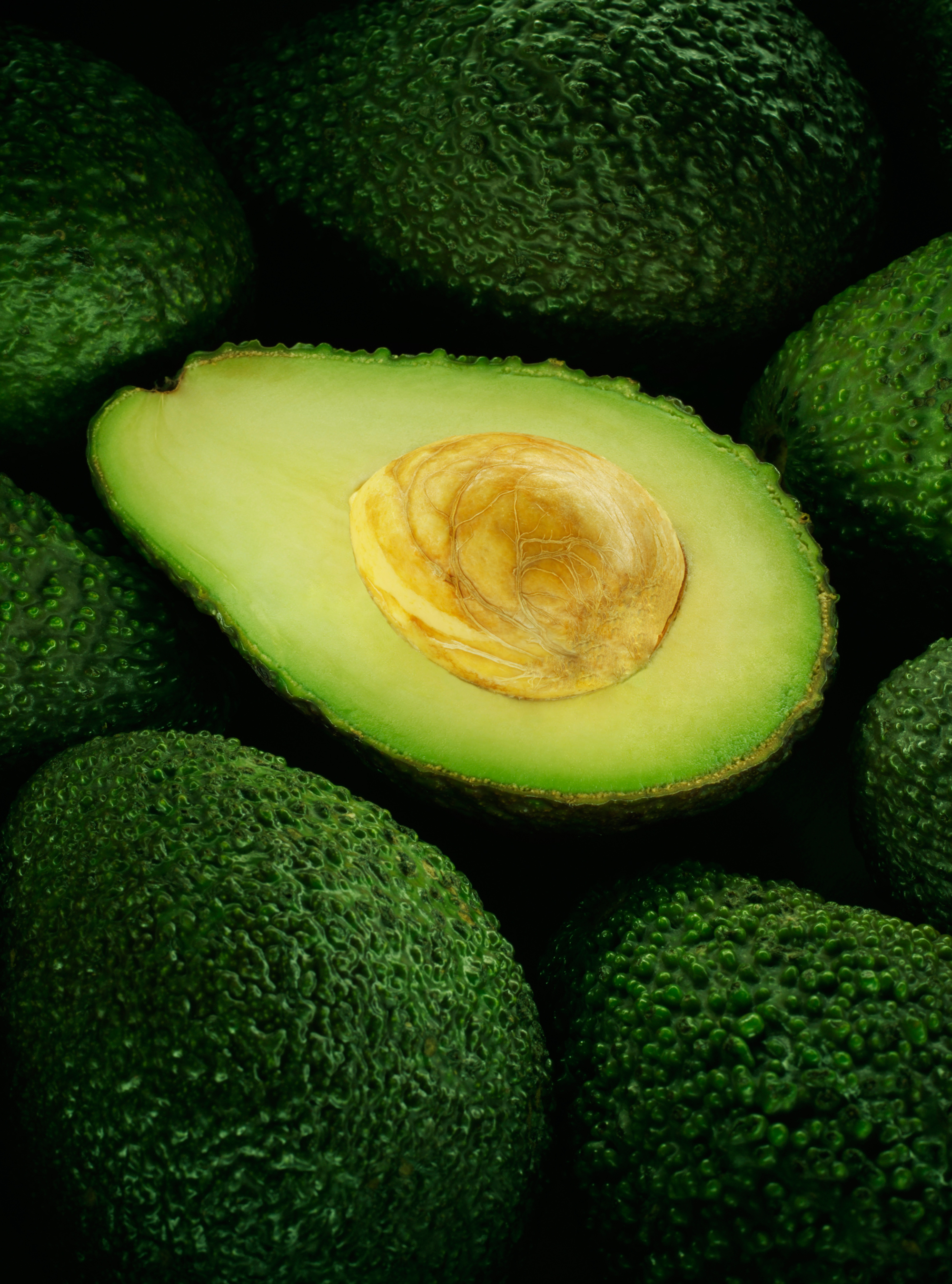 Is It Time For You To Go High Fat? Is It Time For You To Go High Fat?