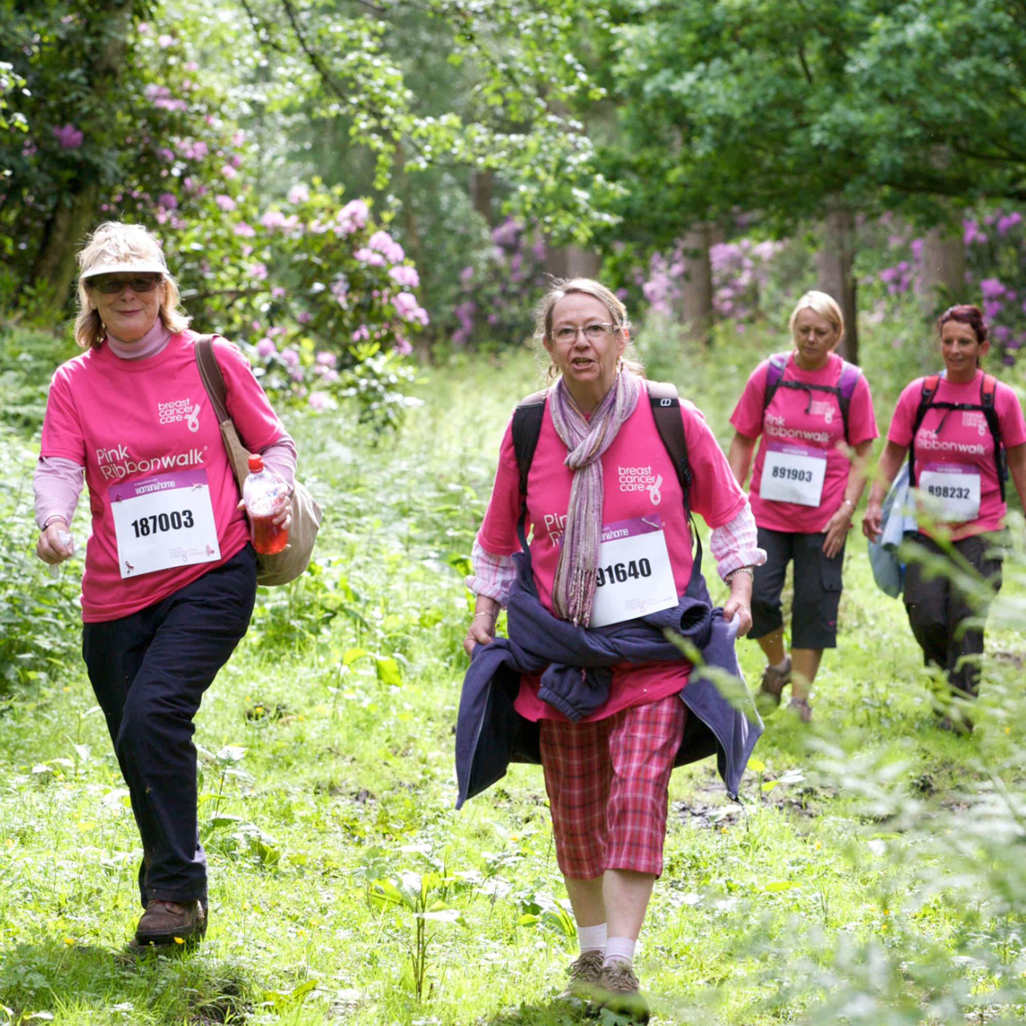 Cholmondeley Castle Pink Ribbonwalk 2012