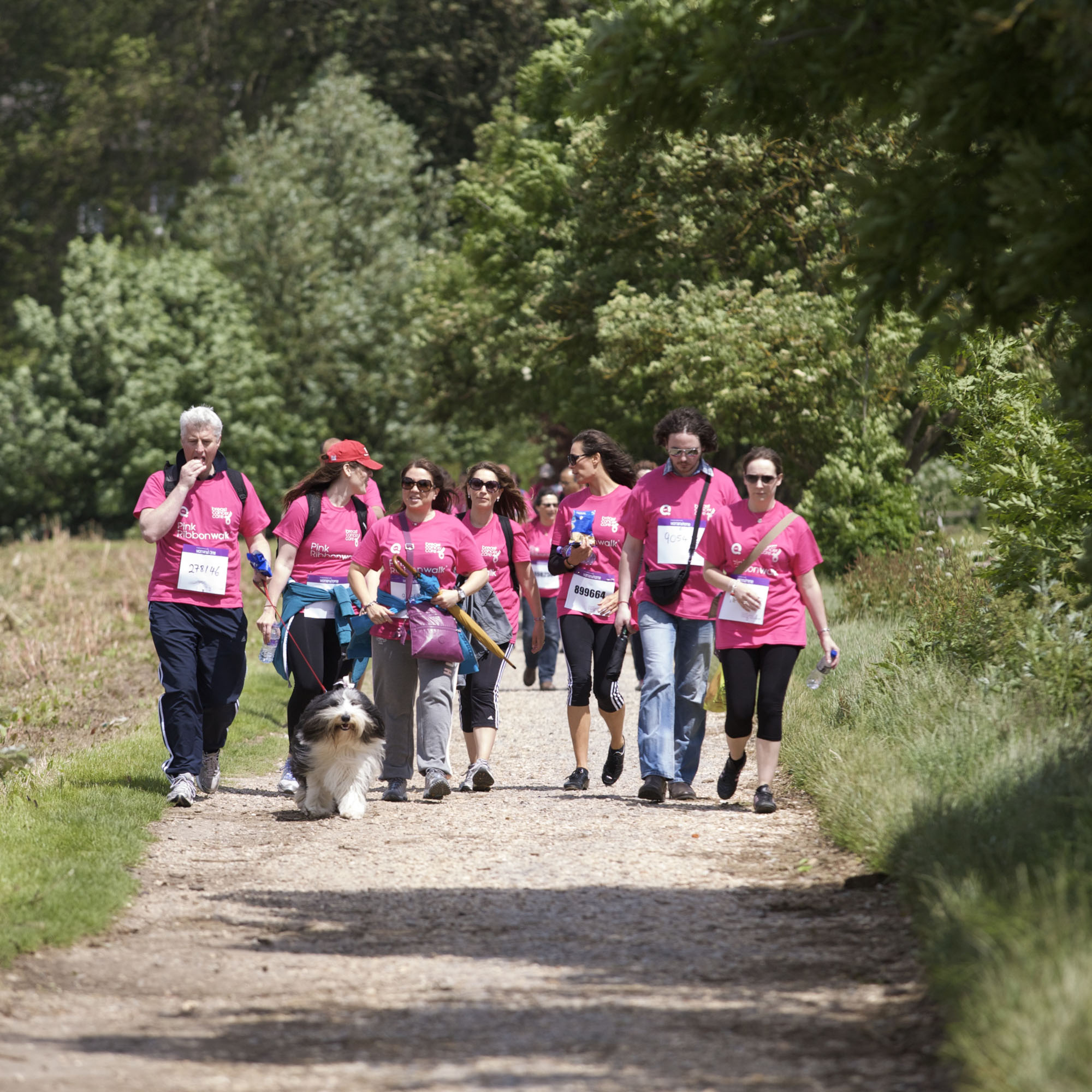 Join Us At A Pink Ribbonwalk In 2013!