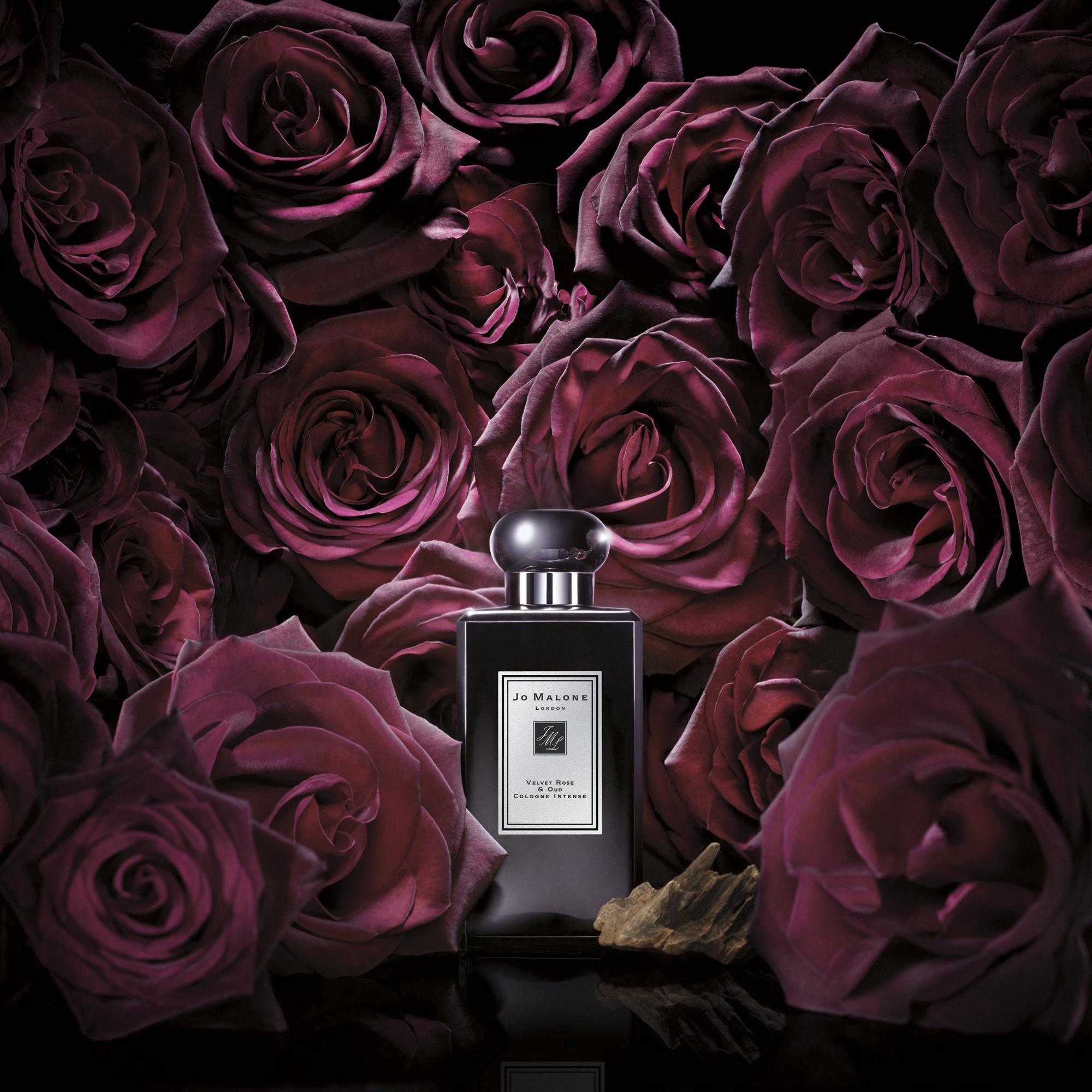 Jo Malone Limited Edition Velvet Rose & Oud Cologne Jo Malone Limited Edition Velvet Rose & Oud Cologne
