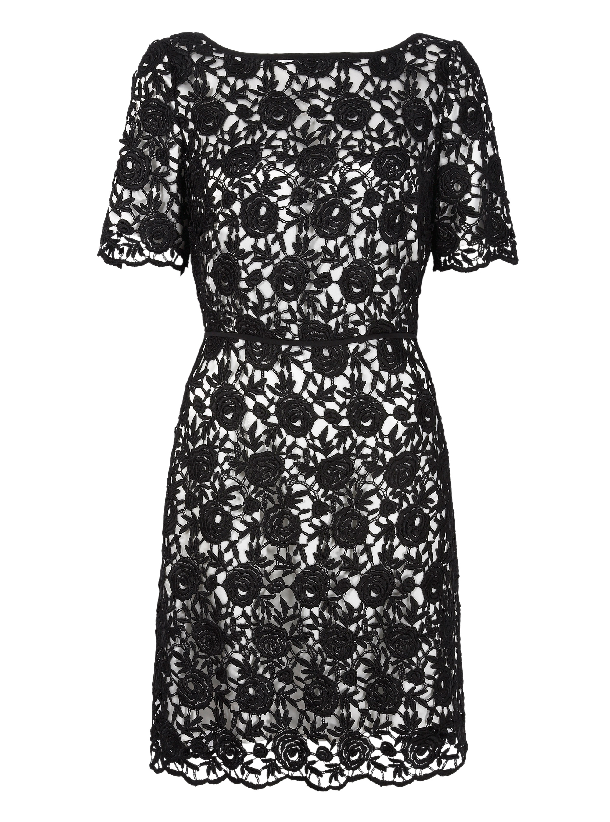 Damsel In A Dress Priscilla Dress
