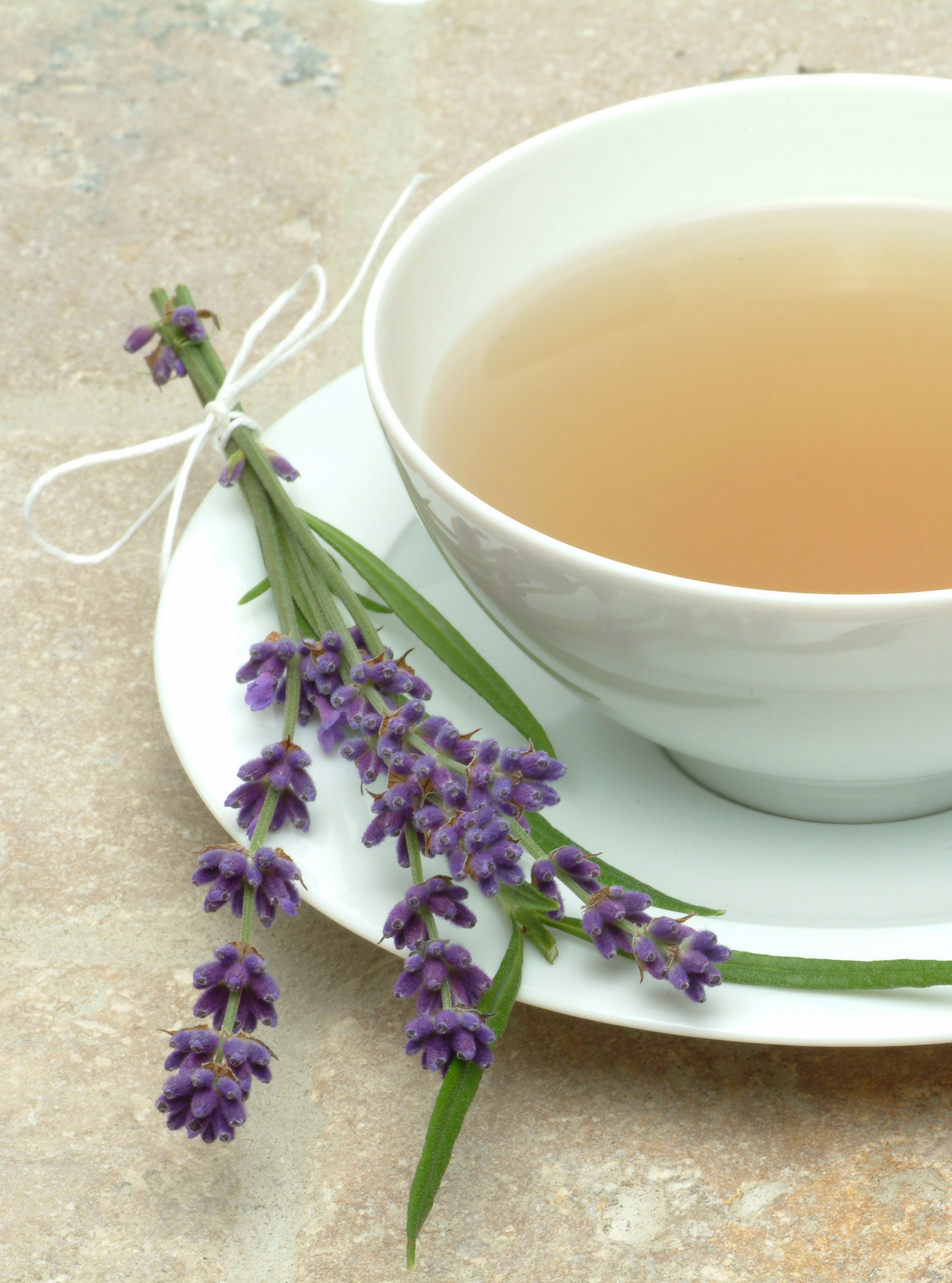 Herbal Teas For Better Health Herbal Teas For Better Health