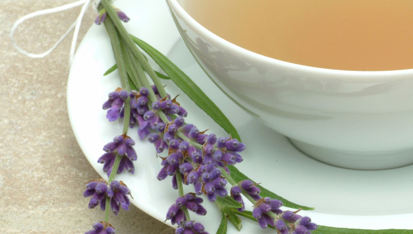 Ever wondered why some women breeze through winter without a sniffle? They often follow the same simple routine - eating smart, taking the right supplements and plenty of early nights. Make their wisdom work for you this month...