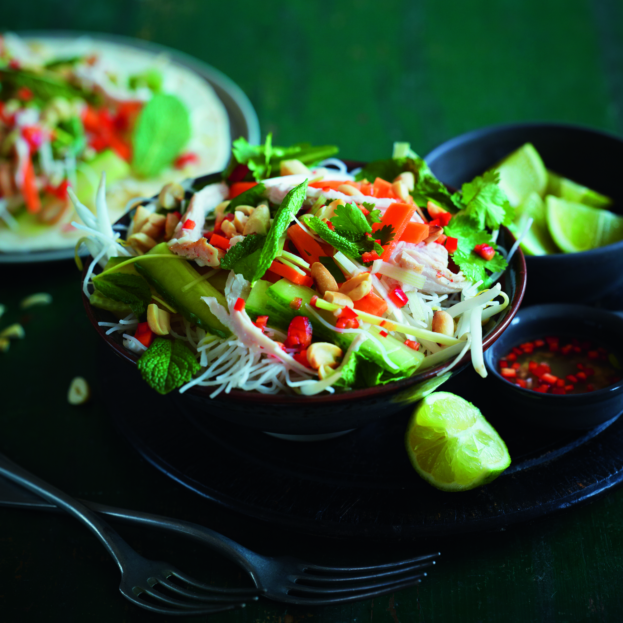 Vietnamese-Style Salad recipe vietmanese salad-christmas left overs-woman and home