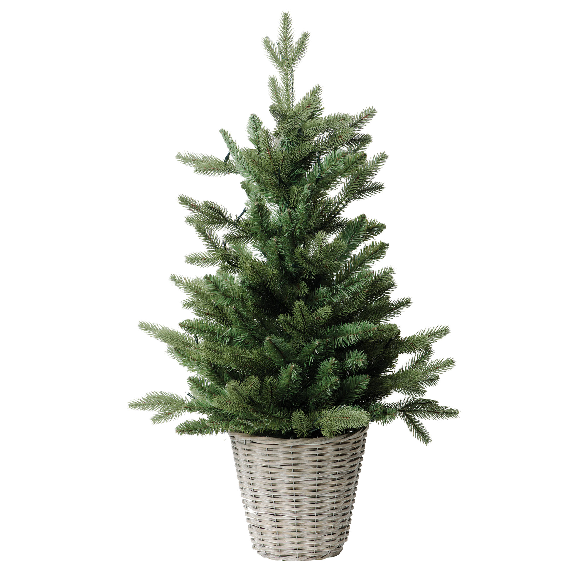 Top 10 Christmas Trees