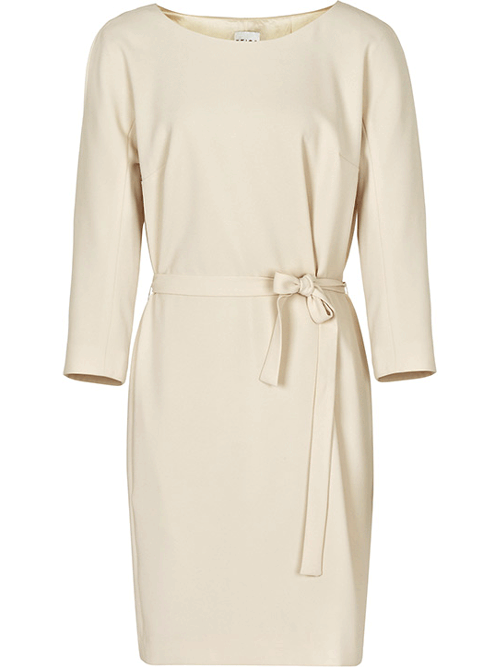 Reiss Danica dress photo