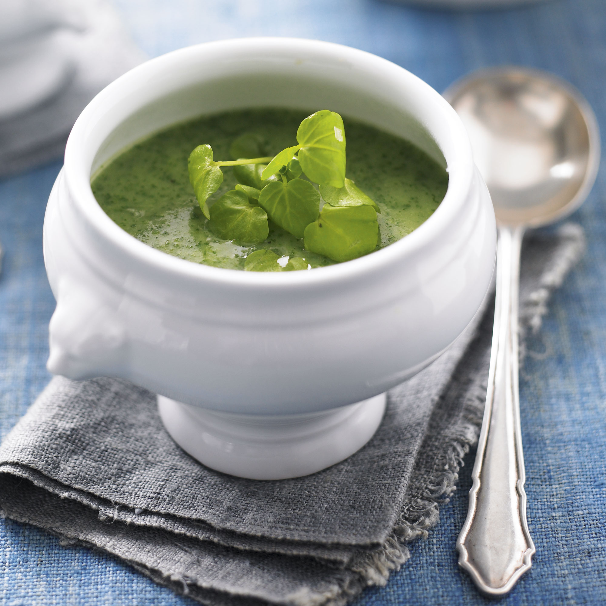Luxury watercress soup