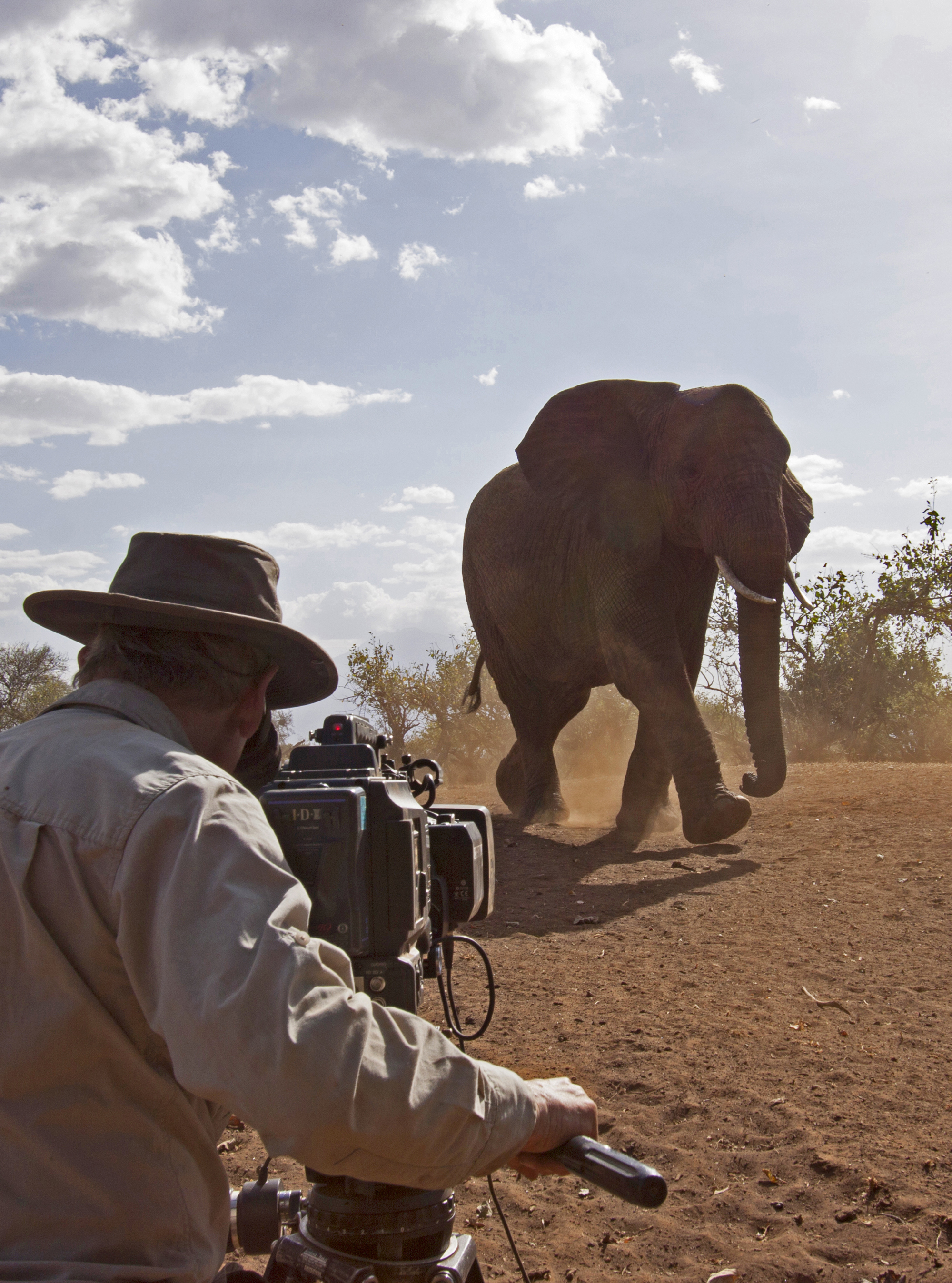  David Attenborough Africa BBC photo