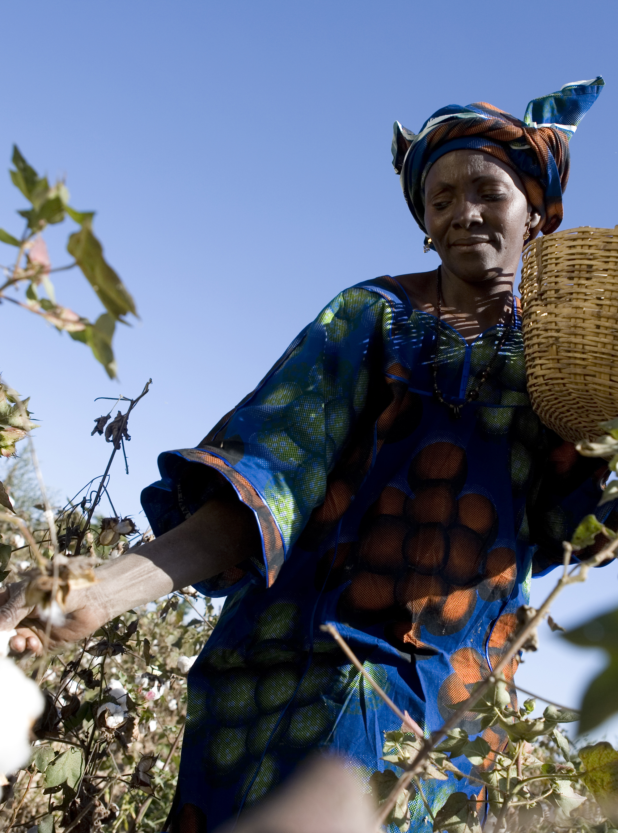 Top 10 Fairtrade Products
