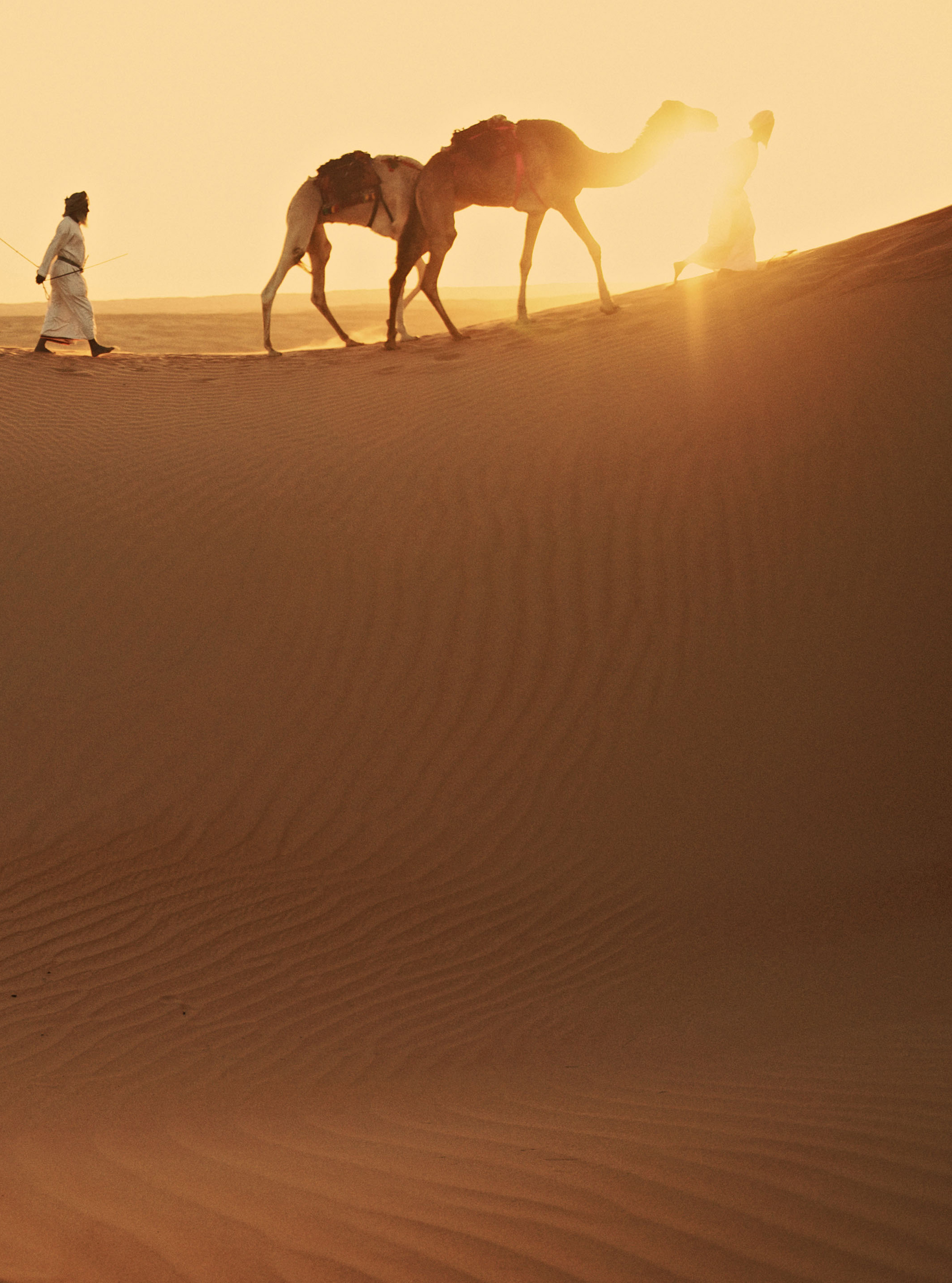 Wild Arabia In Pictures