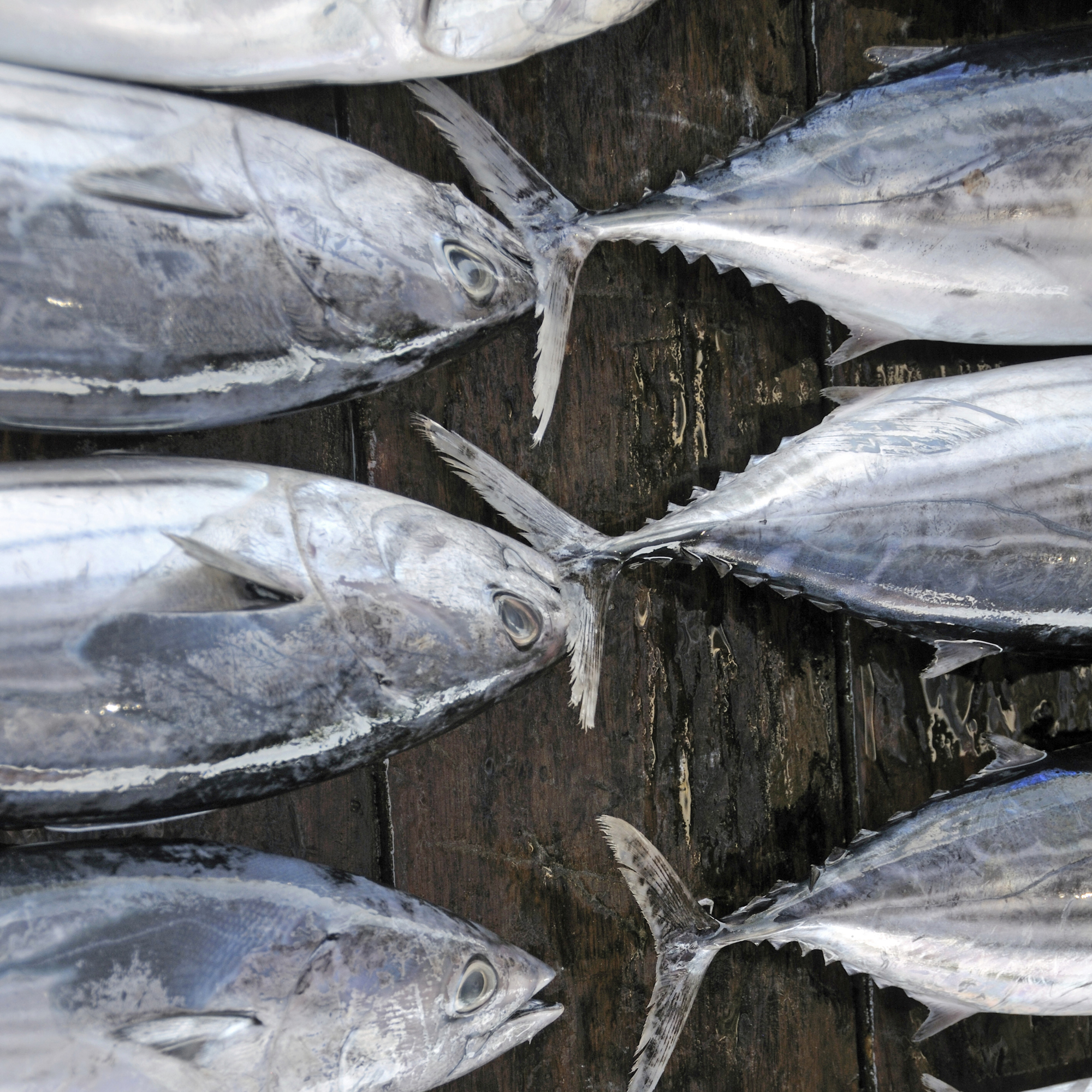 Top 10 Protein-Rich Alternatives To Meat Top 10 Protein-Rich Alternatives To Meat