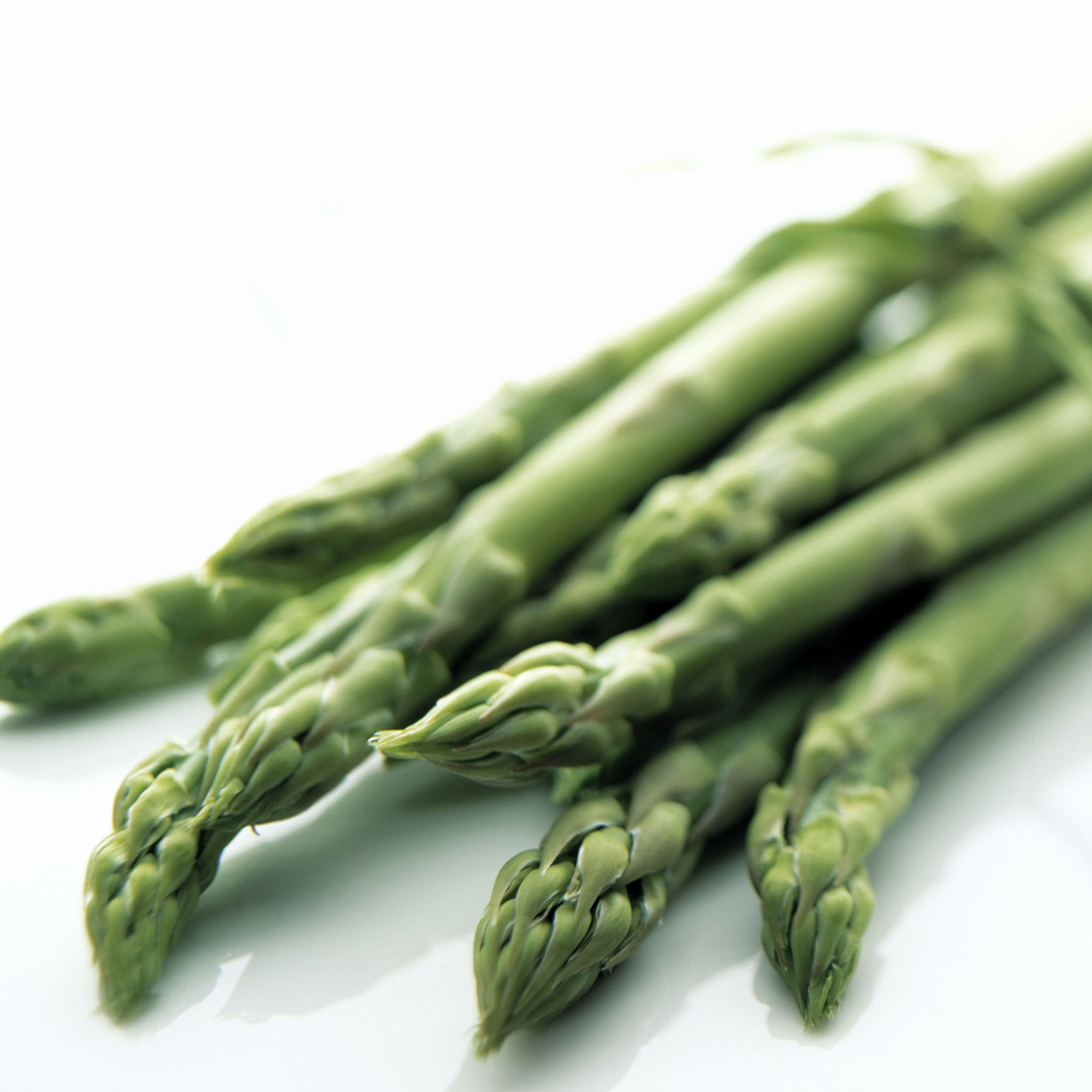 Asparagus photo