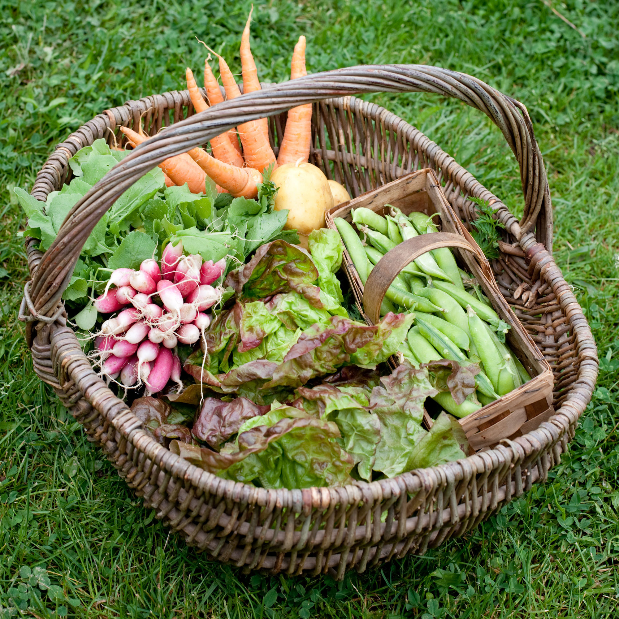 veg basket photo