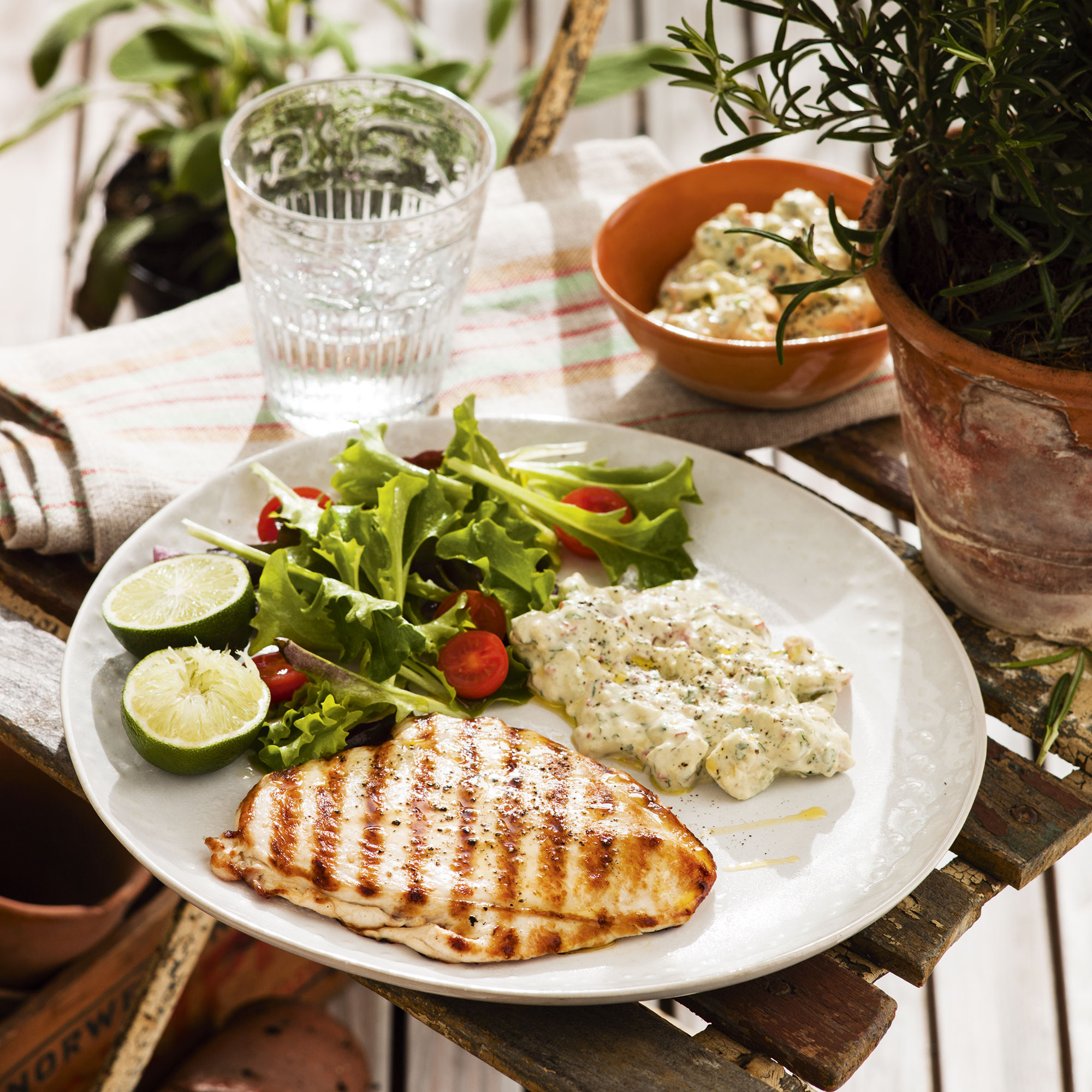 Chicken paillarde with guacamole mayonnaise Chicken paillarde with guacamole mayonnaise