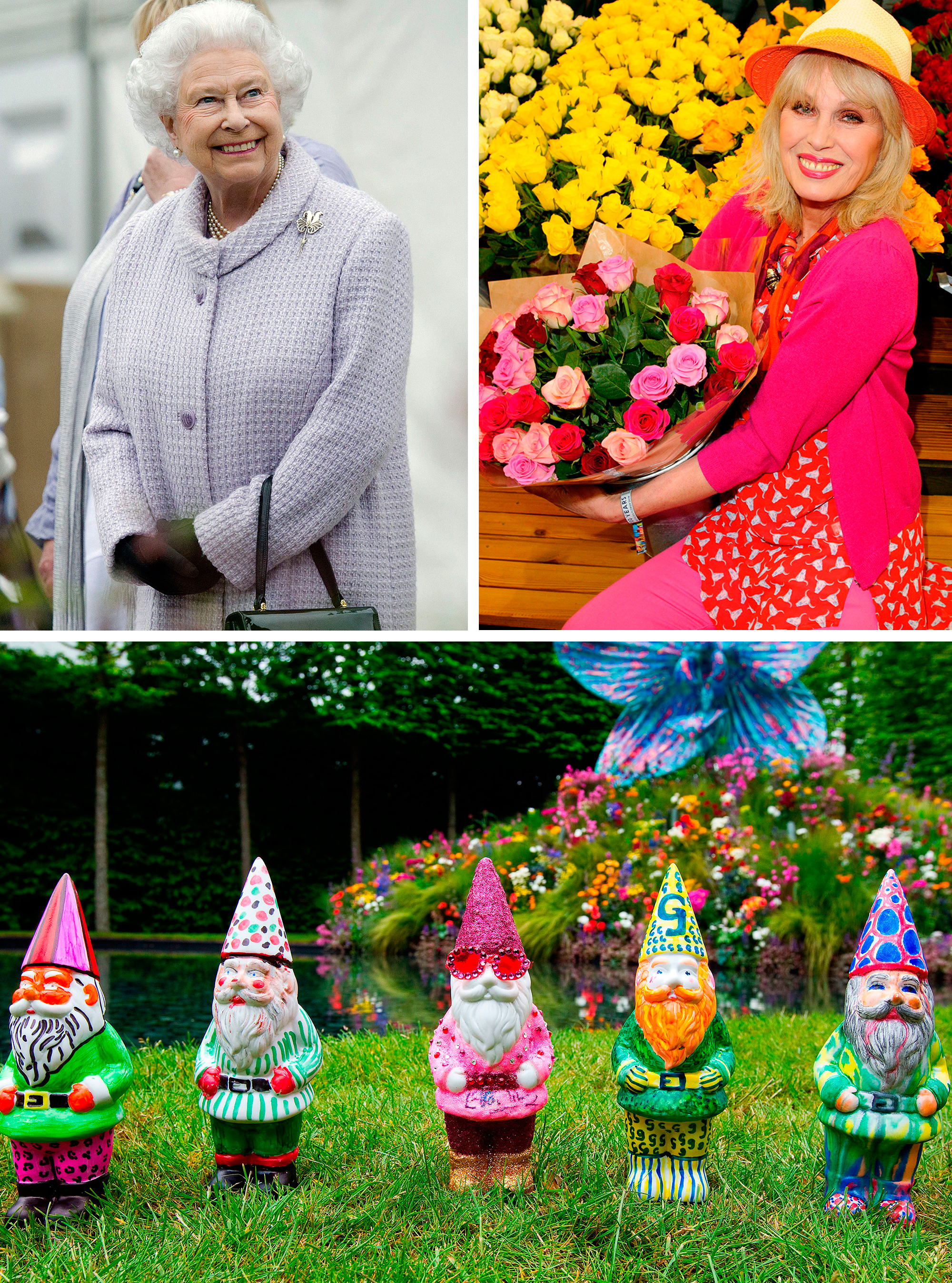 Chelsea Flower Show 2013