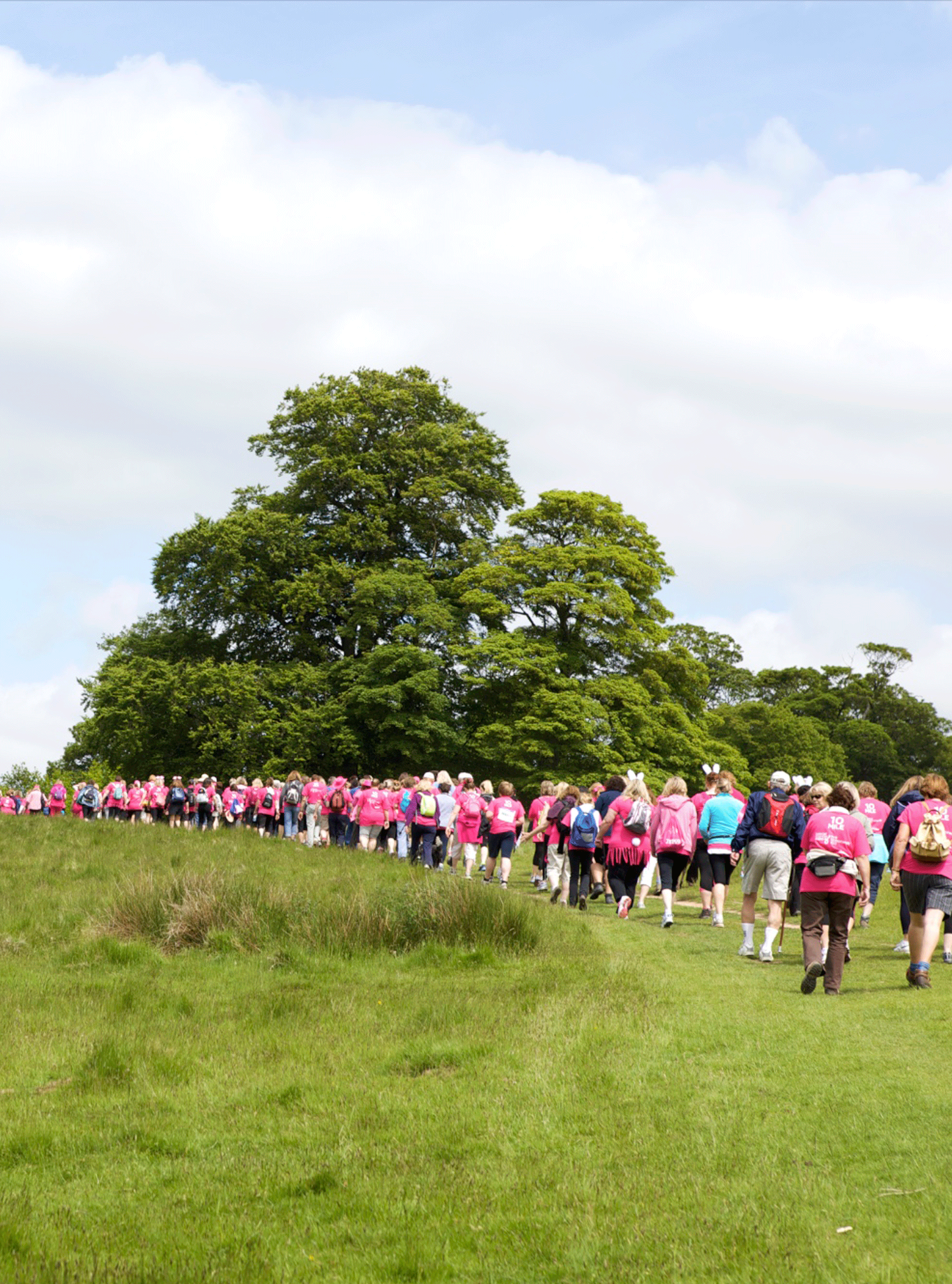 Petworth Pink Ribbonwalk 2013