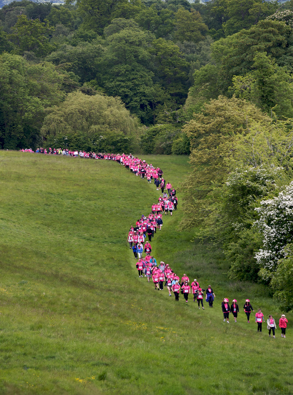Leeds Castle Pink Ribbonwalk 2013