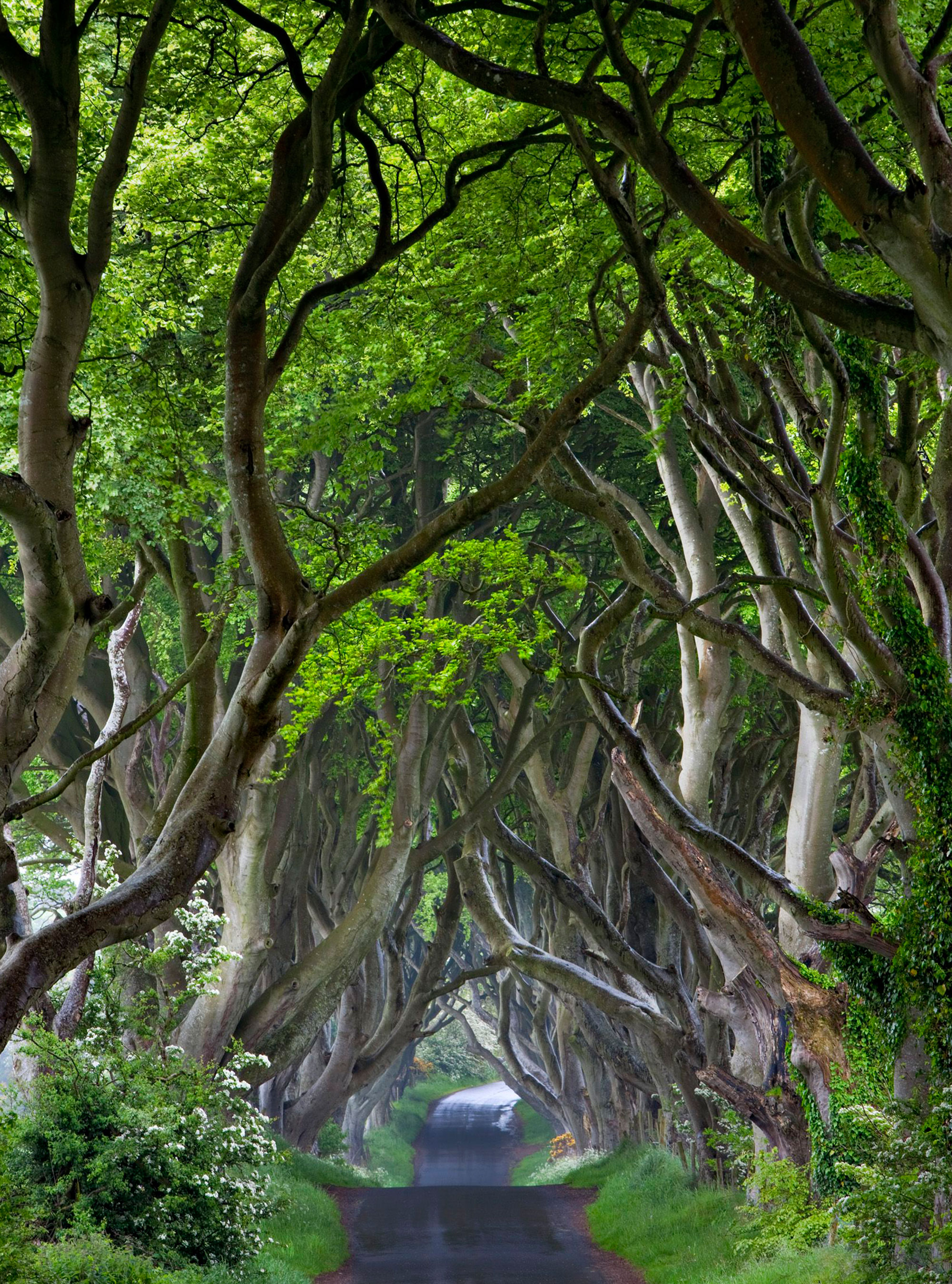 The Best Pictures From Landscape Photographer of the Year