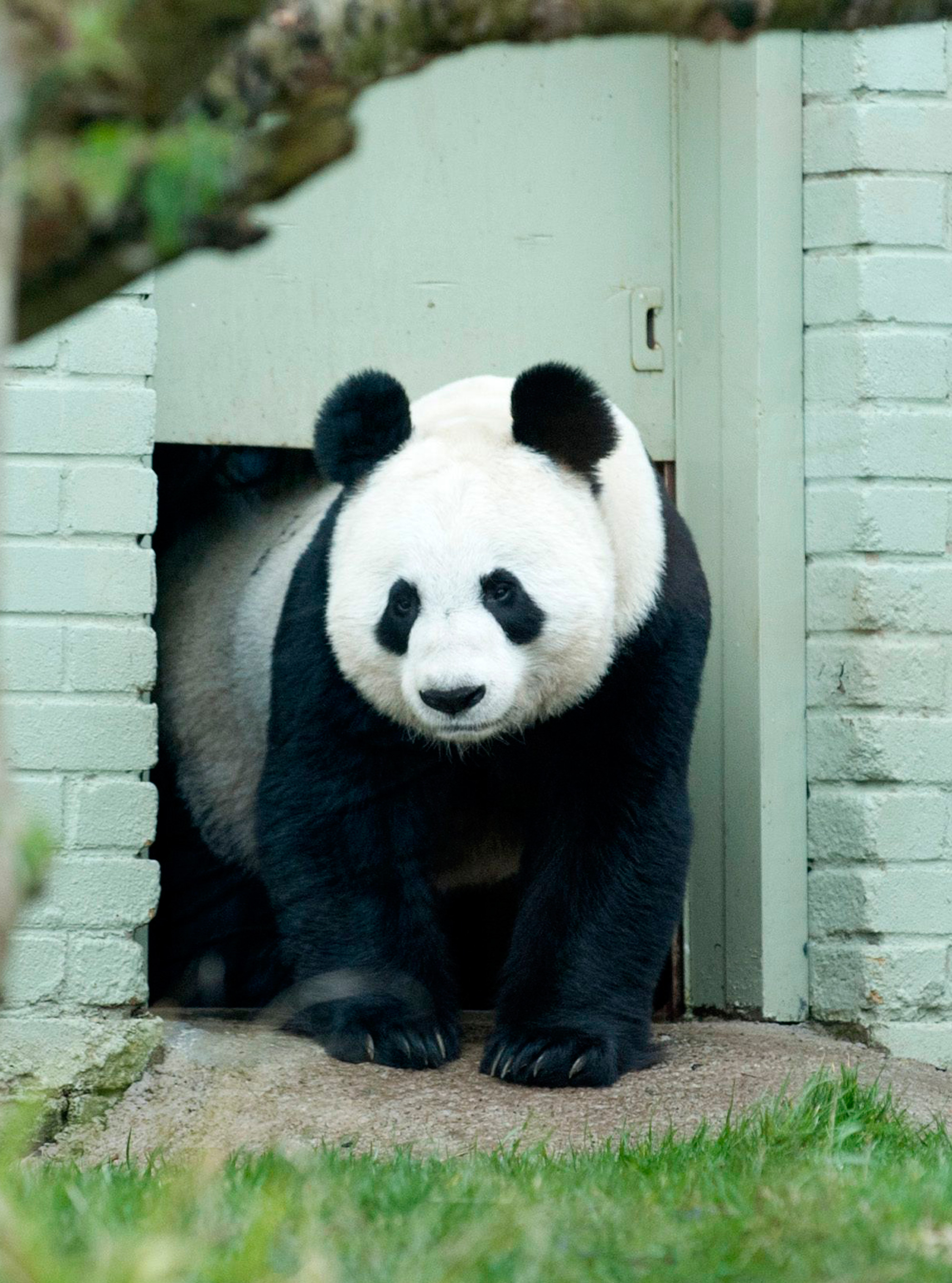The Week In Pictures The Week In Pictures