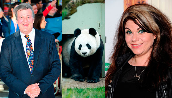 Stephen Fry's open letter to David Cameron, Caitlin Moran's Twitter silence, a shark on the New York subway and a possible Panda pregnancy - it's been quite a week! Catch up on the stories that you might have missed now...