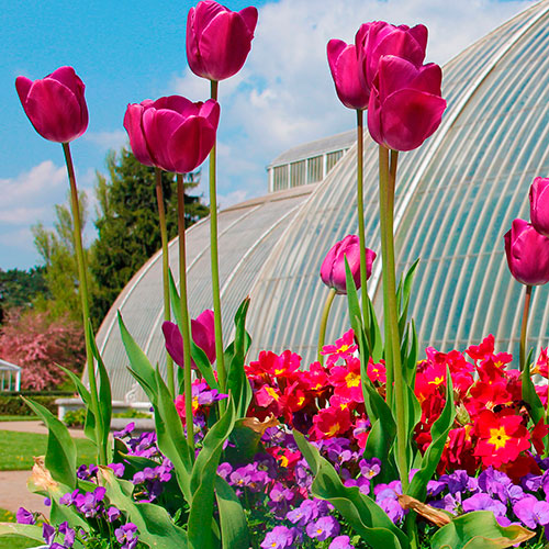 8 Things To Do This Bank Holiday Weekend