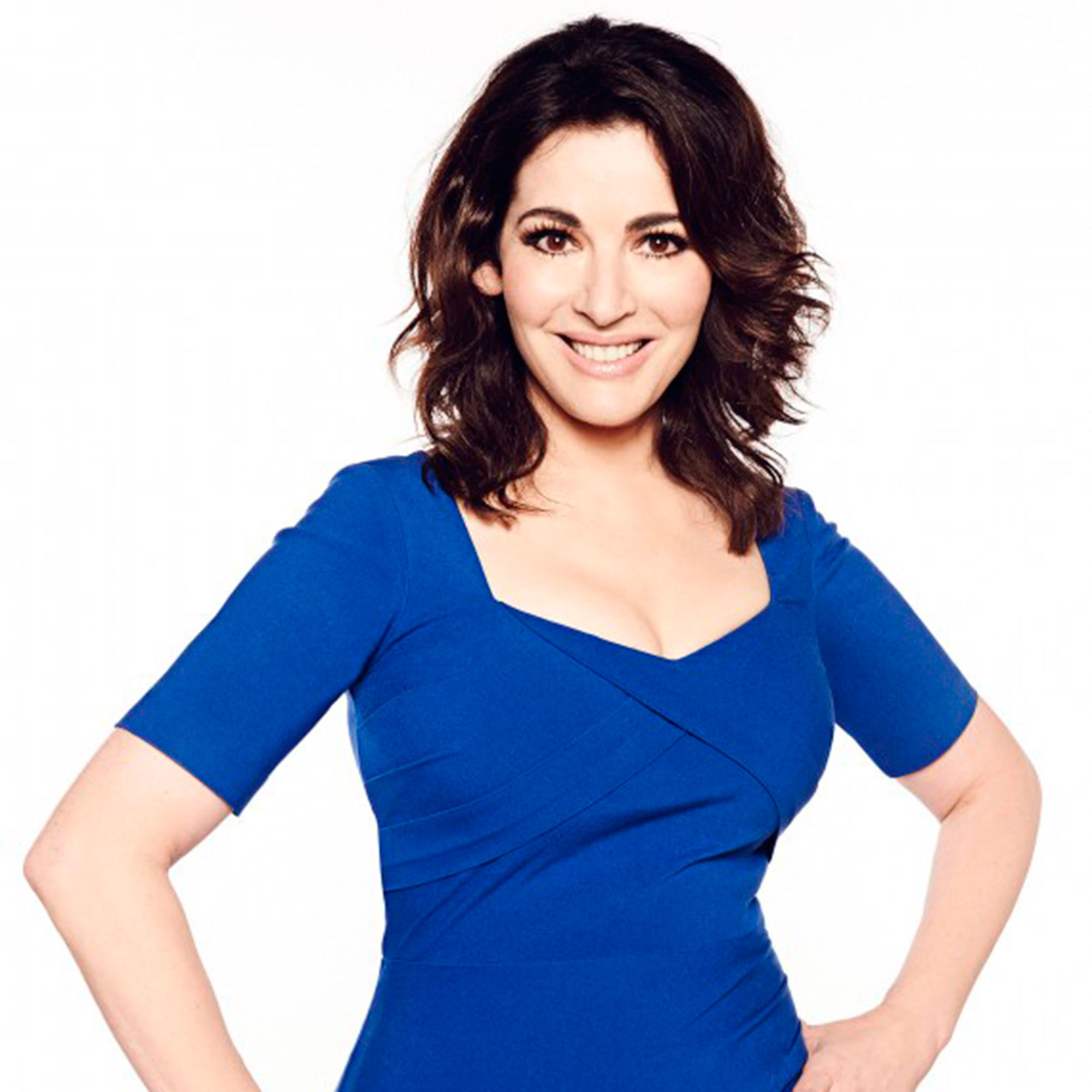 Where To Buy Nigella's High Street Figure Fixer