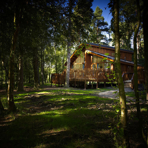 forestholidays