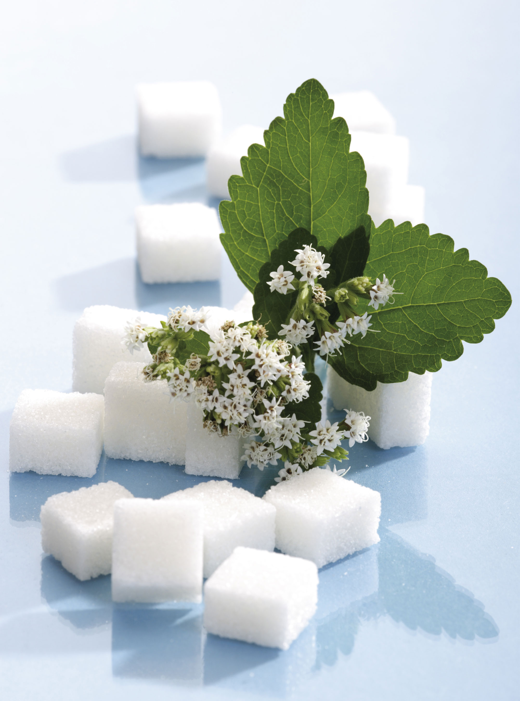 10 Ways to Cut Sugar From Your Diet 10 Ways to Cut Sugar From Your Diet