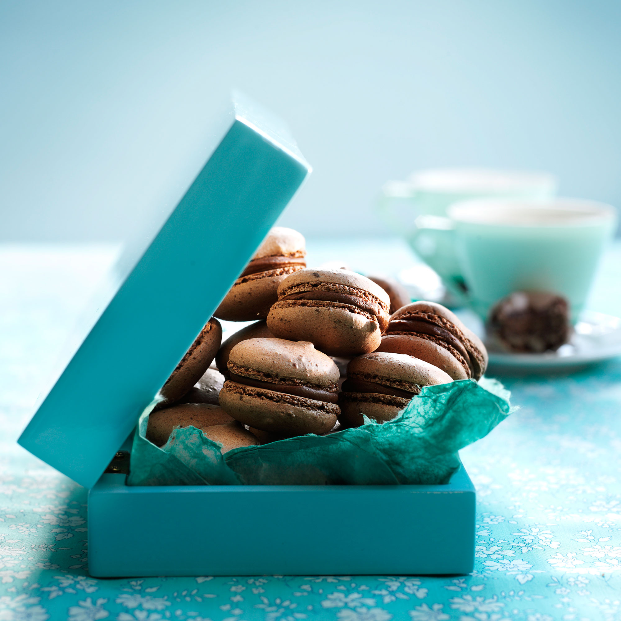 Chocolate Macarons Chocolate Macarons