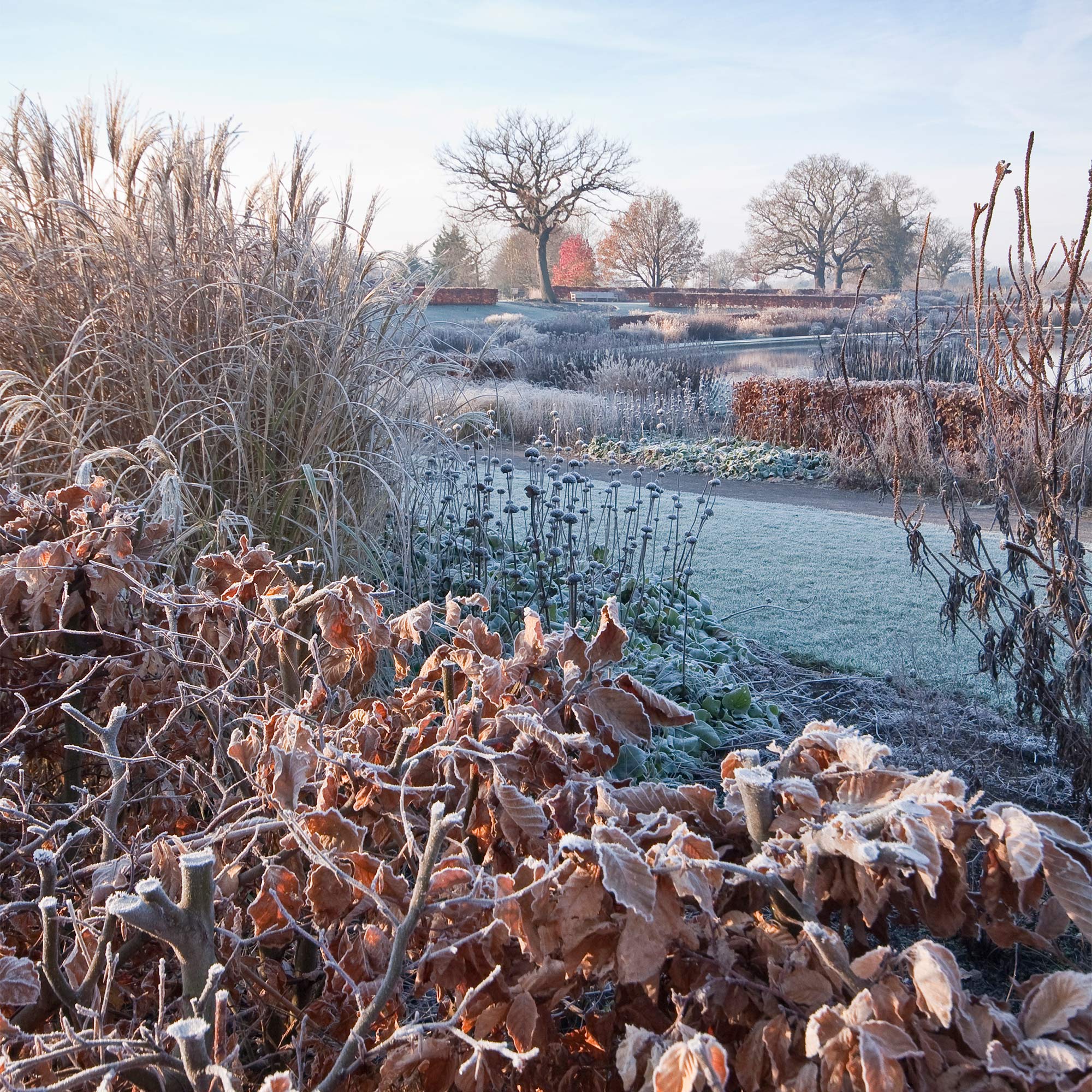 10 Of The Best Winter Walks To Take This Christmas 10 Of The Best Winter Walks To Take This Christmas