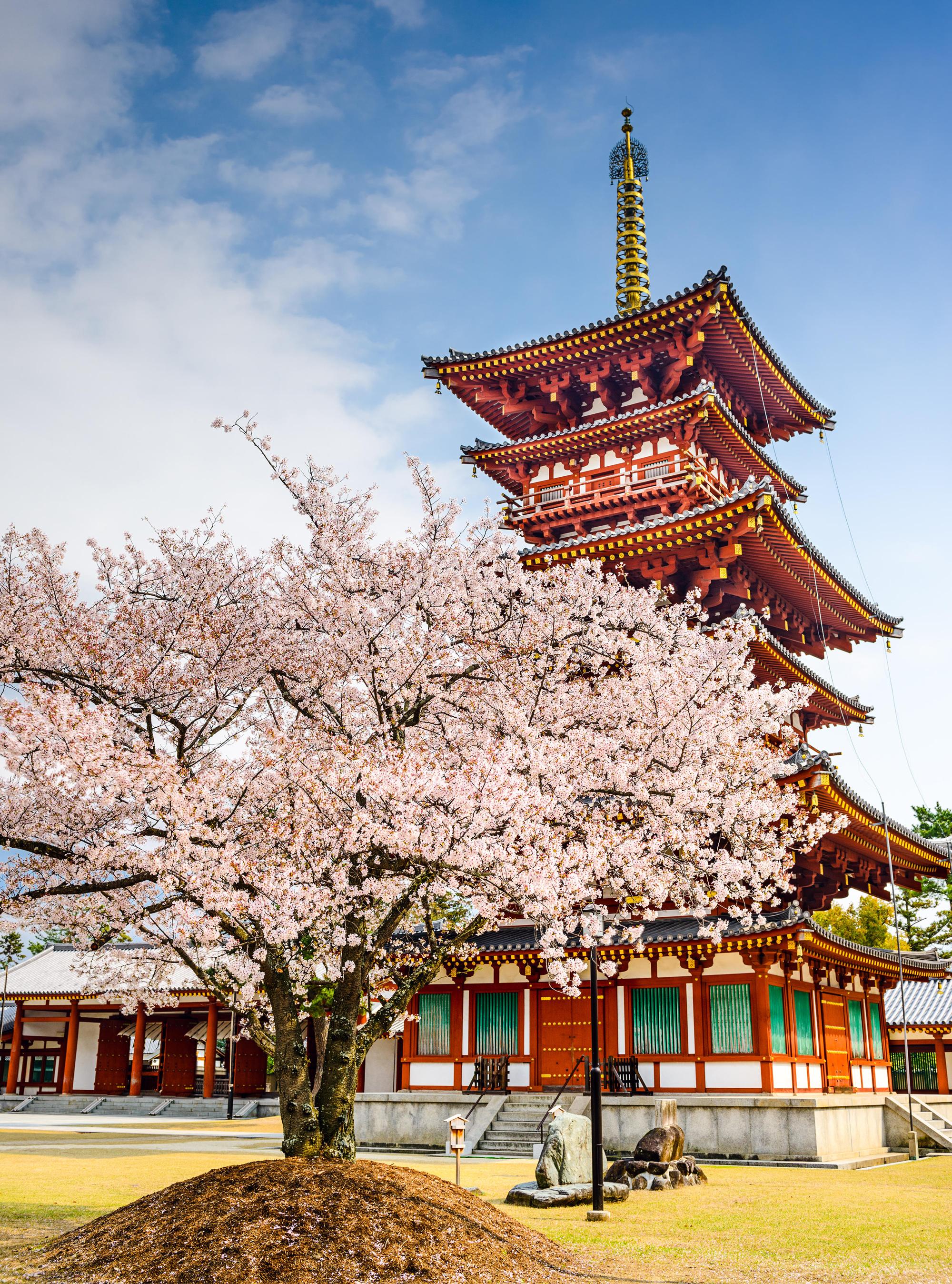 Why 2018 Is The Best (And Cheapest) Year To Visit Japan - Woman And Home